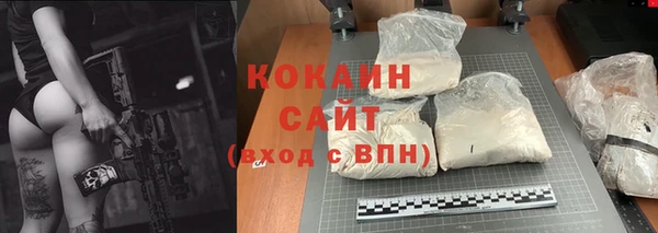 стаф Сатка