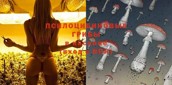 стаф Сатка