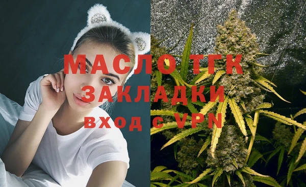 стаф Сатка