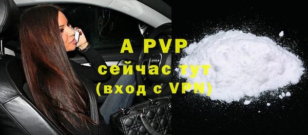 стаф Сатка