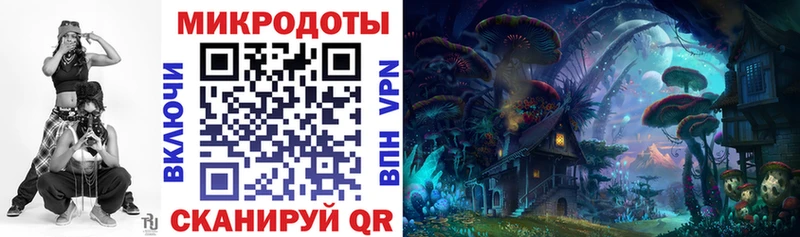 Псилоцибиновые грибы Psilocybe  купить  цена  Дыгулыбгей 